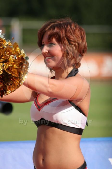 Klicken für Bild in voller Größe