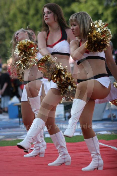 Klicken für Bild in voller Größe