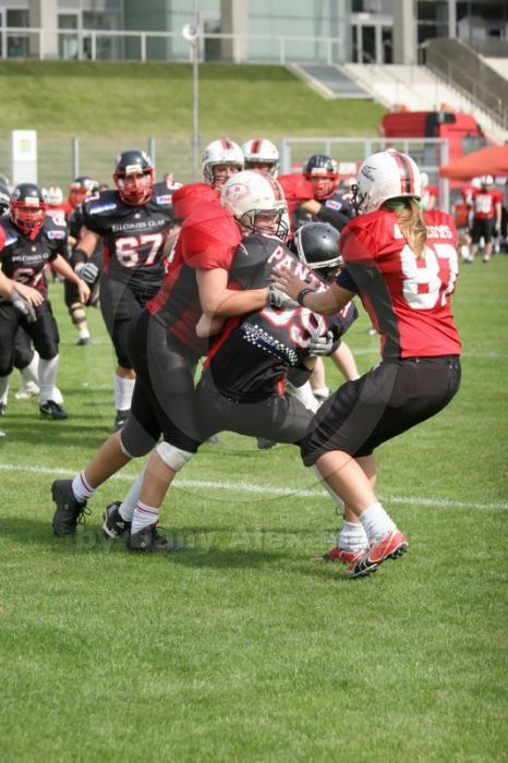 Klicken für Bild in voller Größe