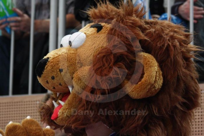 Klicken für Bild in voller Größe