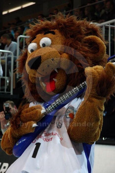 Klicken für Bild in voller Größe