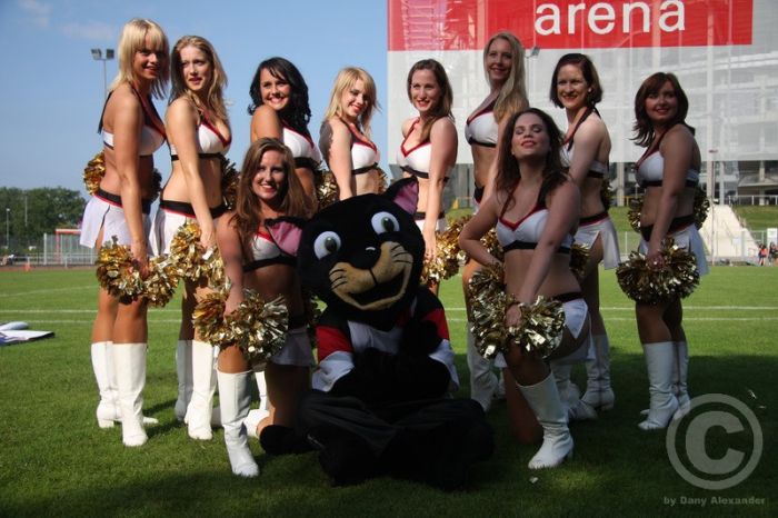 Klicken für Bild in voller Größe