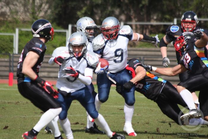 Klicken für Bild in voller Größe