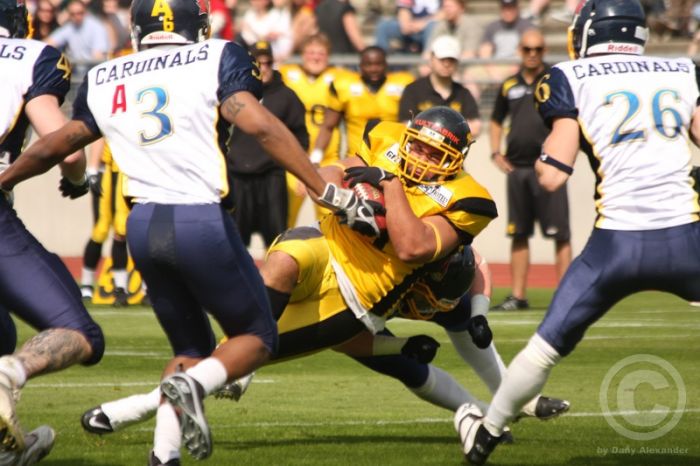 Klicken für Bild in voller Größe