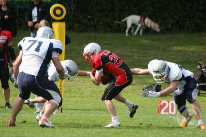 Klicken für Bild in voller Größe