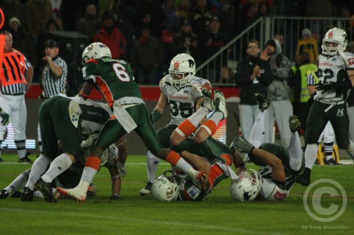 Klicken für Bild in voller Größe