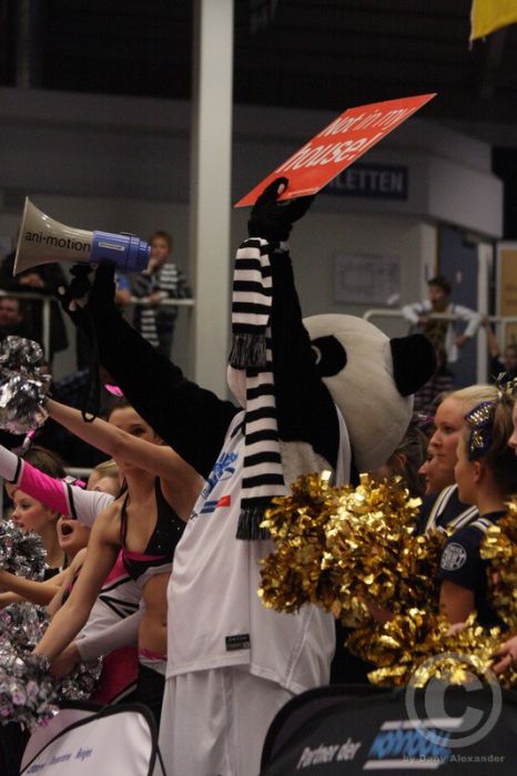 Klicken für Bild in voller Größe