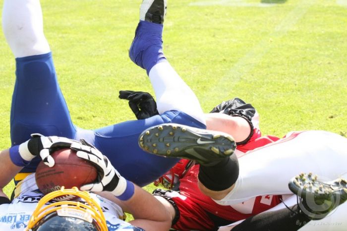 Klicken für Bild in voller Größe