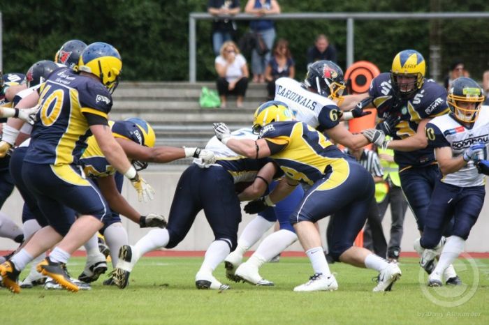 Klicken für Bild in voller Größe