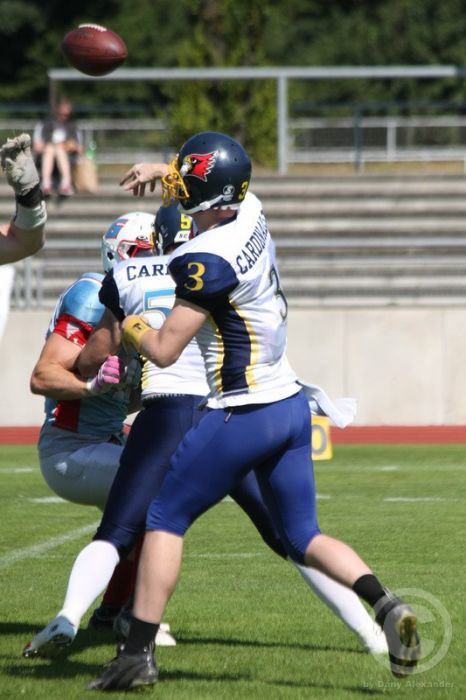 Klicken für Bild in voller Größe