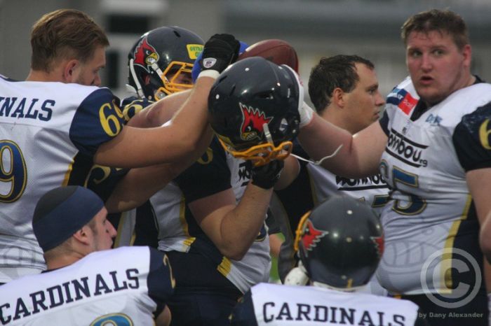 Klicken für Bild in voller Größe