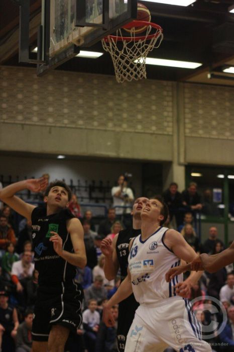 Klicken für Bild in voller Größe