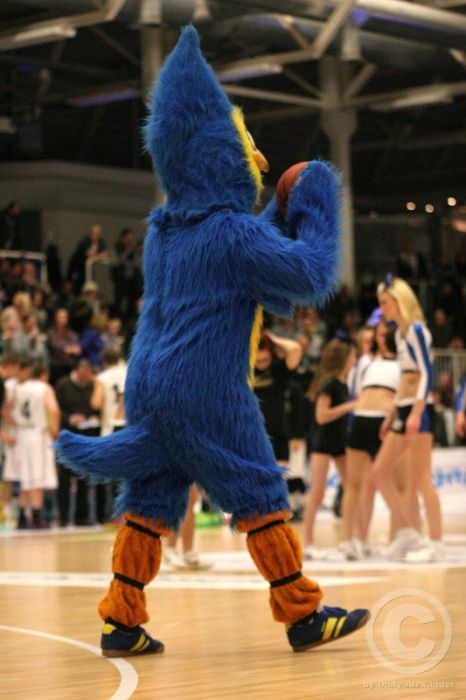 Klicken für Bild in voller Größe