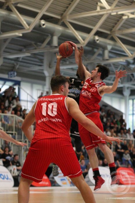 Klicken für Bild in voller Größe