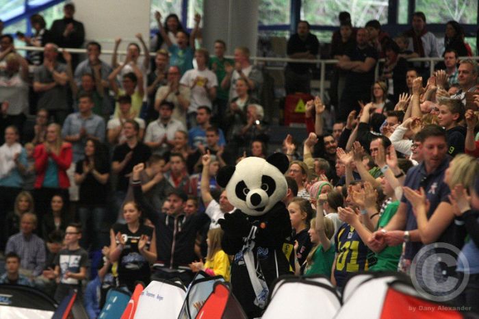 Klicken für Bild in voller Größe