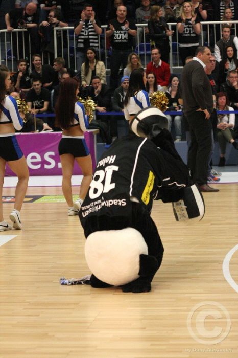 Klicken für Bild in voller Größe