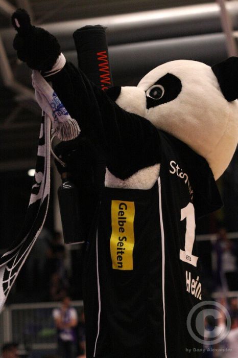 Klicken für Bild in voller Größe