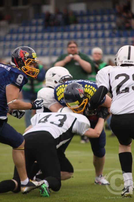 Klicken für Bild in voller Größe