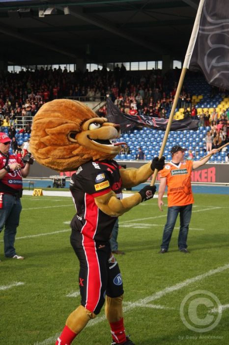 Klicken für Bild in voller Größe