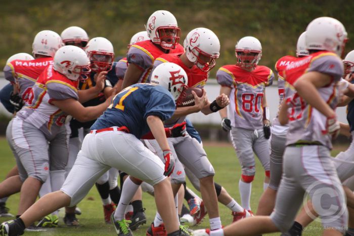 Klicken für Bild in voller Größe