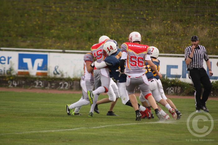 Klicken für Bild in voller Größe