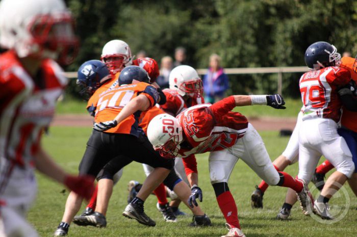 Klicken für Bild in voller Größe