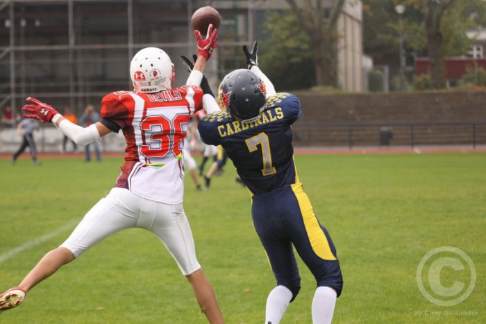 Klicken für Bild in voller Größe