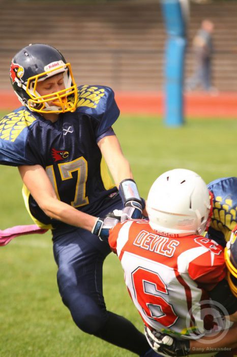 Klicken für Bild in voller Größe