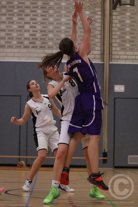 Klicken für Bild in voller Größe