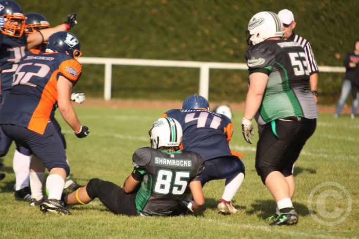 Klicken für Bild in voller Größe