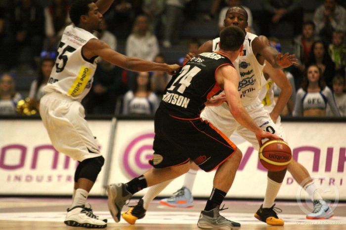 Klicken für Bild in voller Größe