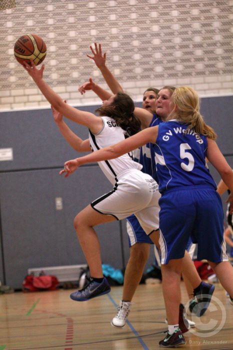 Klicken für Bild in voller Größe