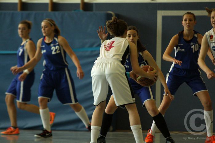 Klicken für Bild in voller Größe