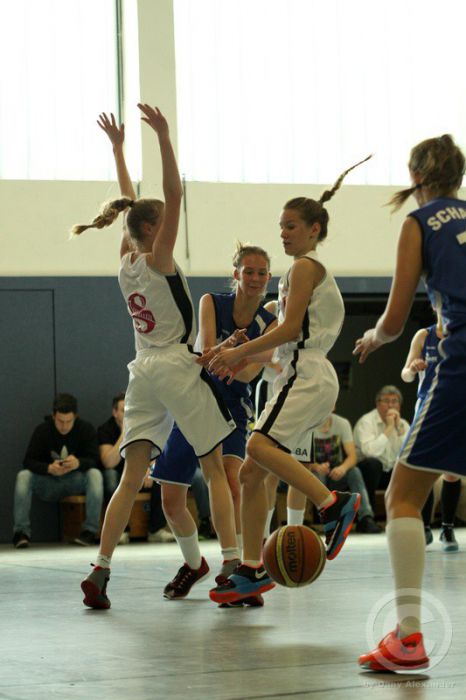 Klicken für Bild in voller Größe