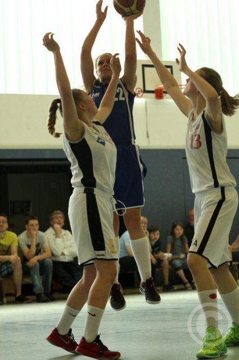 Klicken für Bild in voller Größe