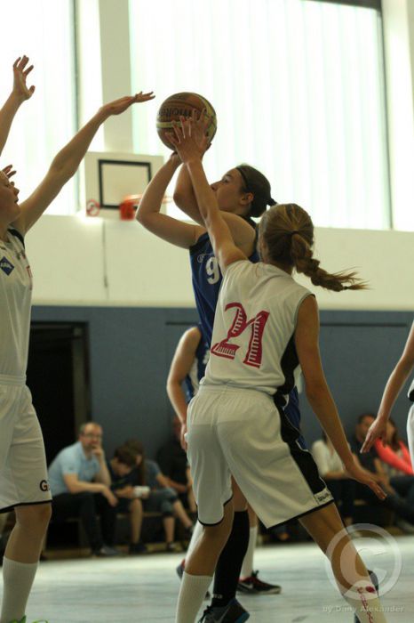 Klicken für Bild in voller Größe