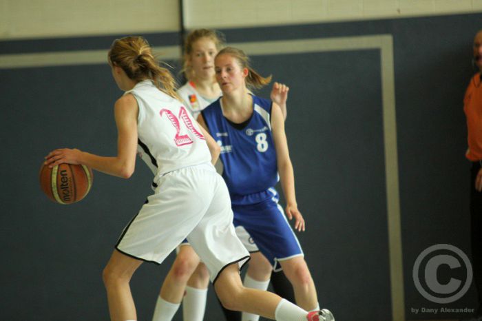 Klicken für Bild in voller Größe