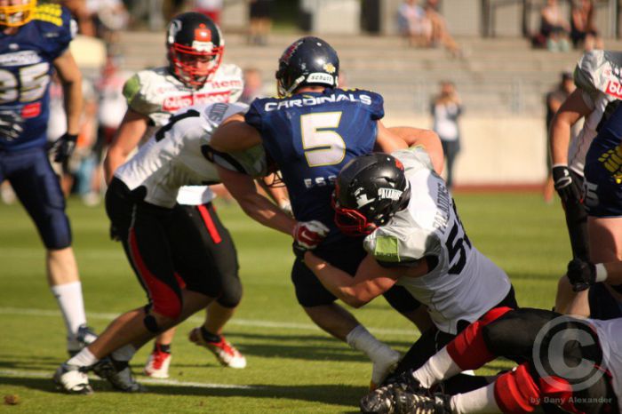 Klicken für Bild in voller Größe