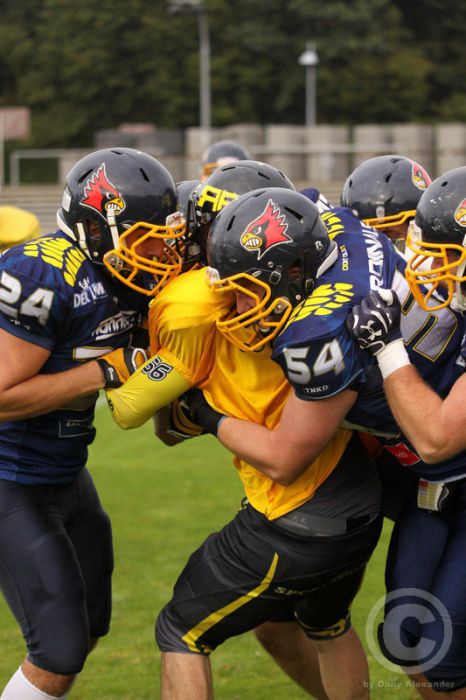 Klicken für Bild in voller Größe