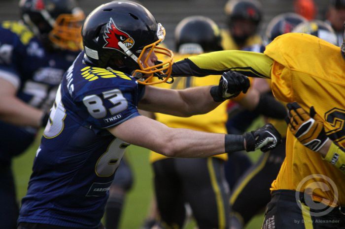 Klicken für Bild in voller Größe