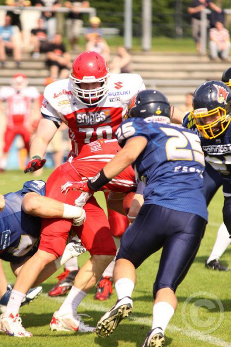 Klicken für Bild in voller Größe