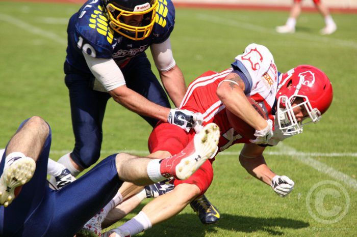 Klicken für Bild in voller Größe