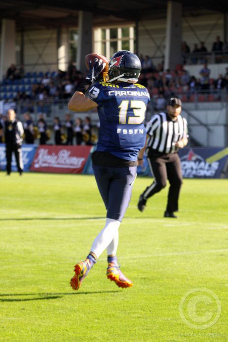 Klicken für Bild in voller Größe