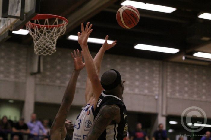 Klicken für Bild in voller Größe