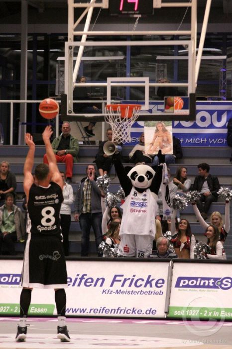 Klicken für Bild in voller Größe