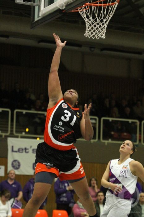 Klicken für Bild in voller Größe