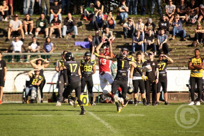 Klicken für Bild in voller Größe