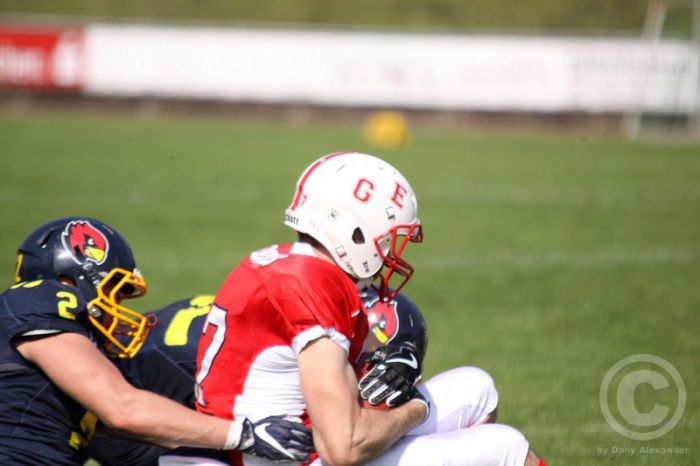 Klicken für Bild in voller Größe