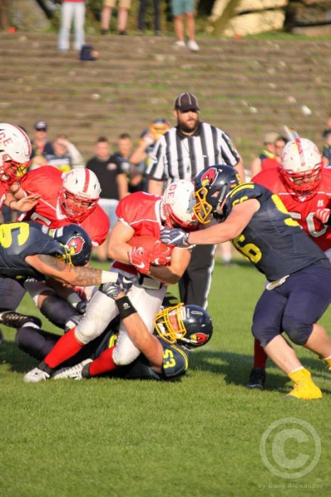 Klicken für Bild in voller Größe