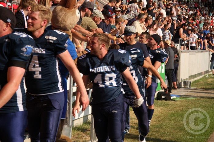 Klicken für Bild in voller Größe